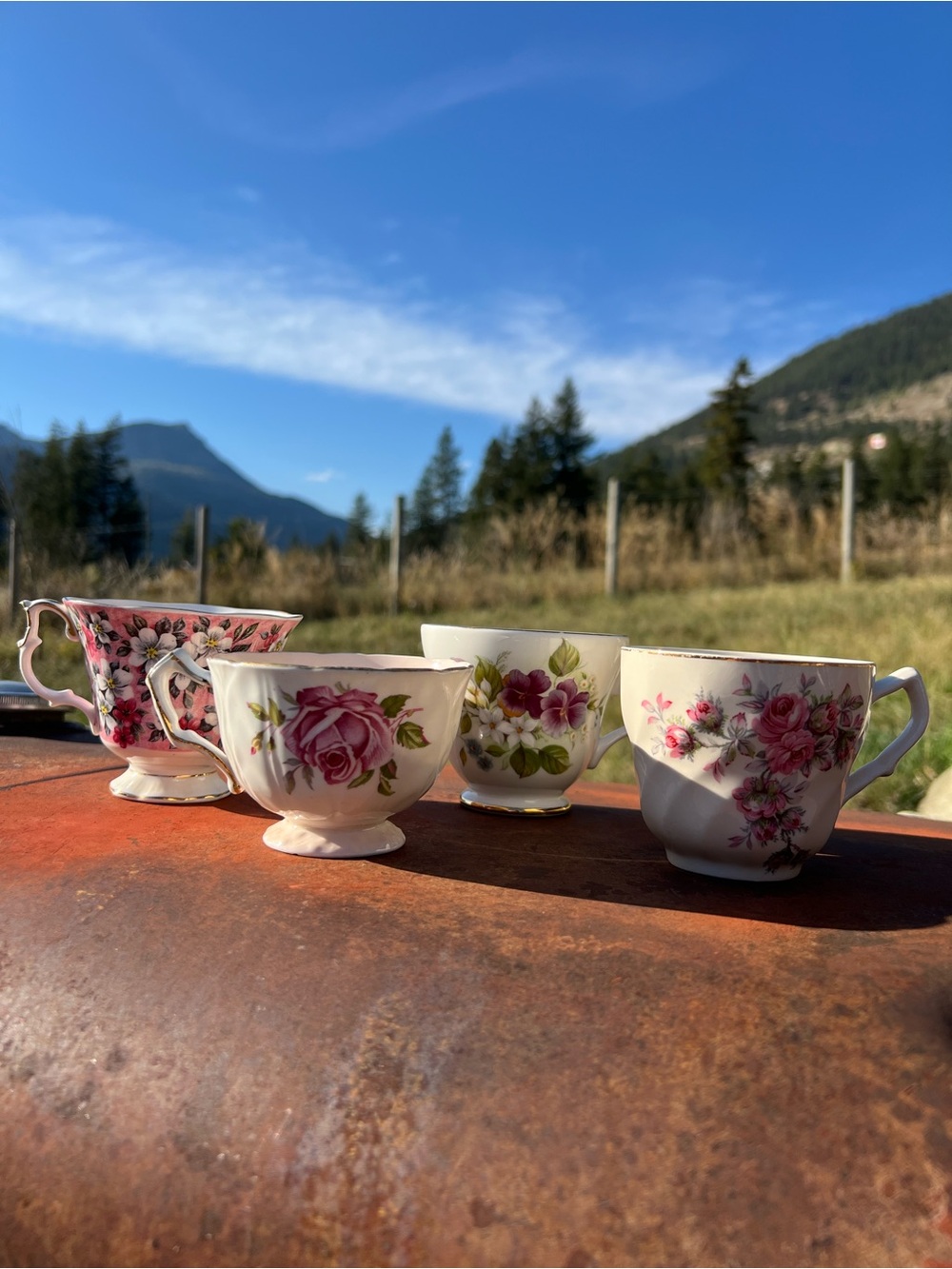 Tea Party Bundle | 5 Mismatched Vintage Floral Teacups Bone China Gold Trim